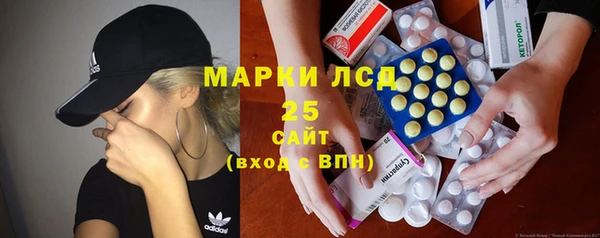 ГАЛЛЮЦИНОГЕННЫЕ ГРИБЫ Балабаново