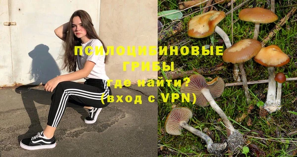 индика Покачи