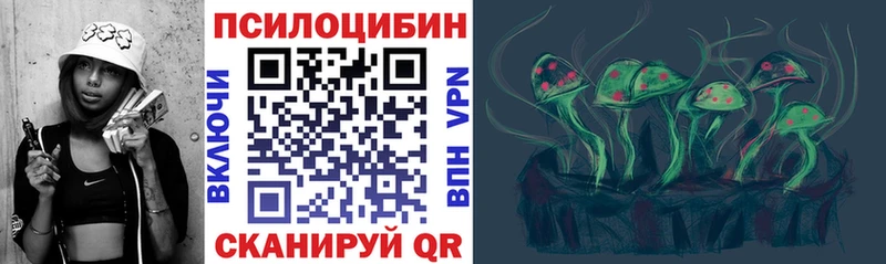 купить закладку Берёзовский Галлюциногенные грибы мухоморы