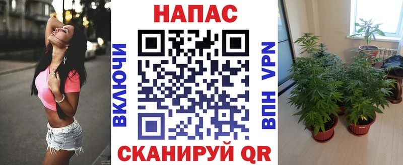наркотики  kraken вход  Шишки марихуана OG Kush  Берёзовский 